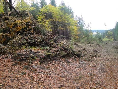 Foto 33